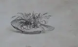 A floral hat by Rex Whistler, ink, sold Aug 2024