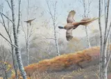 Alarm in the woods by Adrian Rigby, watercolour, sold Aug 2024