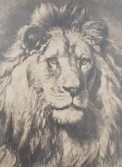 His Royal Highness by Herbert Dicksee, etching, sold Aug 2024