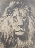 His Royal Highness by Herbert Dicksee, etching, sold Aug 2024