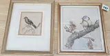 Birds on a branch by Talbot Kelly, watercolour, offered Aug 2024