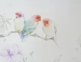 Three love birds by Edward Julius Detmold, watercolour, sold Aug 2024