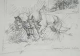 Study of work horses ploughing by Rosemary Sarah Welch, pencil, offered Aug 2024