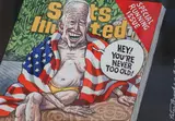 Hey! You by Peter Brookes, ink and watercolour, sold Jul 2024