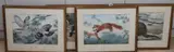 Wildlife including badgers and stoats by Maurice Wilson, watercolor, sold Jul 2024