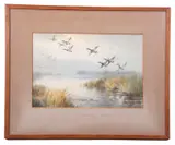 Ducks alighting over marshland by Roland Green, watercolour, sold Apr 2025