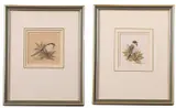 Long Tailed Tit and a Reed Bunting by Peter S. Britton, gouache and pastel, sold Apr 2025