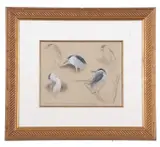 Night Heron Studies by Federico Gemma Swla, 2004, watercolour and pencil on paper, offered Apr 2025