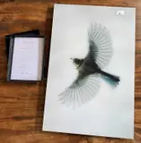 Blue Tit 2 by Mark Harvey, print (other), sold Feb 2025