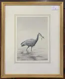 Wading Heron by John Cyril Harrison, watercolour, sold Jan 2025