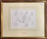 Study of Gyrfalcon by John Cyril Harrison, pencil on paper, sold Jan 2025