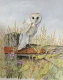 Original by Brian Bedford, watercolour, sold Dec 2024
