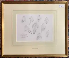 Study of Gyrfalcon by John Cyril Harrison, pencil on paper, offered Dec 2024