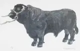 Welsh Black Bull by Kyffin Williams Ra limited edition, lithograph, sold Jul 2025