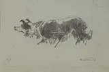 Artist's proof print - Mott the Sheepdog by Kyffin Williams, print, sold Jul 2025