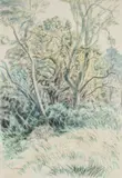 Garden Corner by Edgar Holloway, 1986, watercolour and pencil, sold May 2025