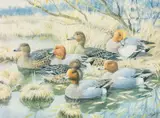 Limited edition by Charles Frederick Tunnicliffe, print, offered May 2025