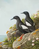 Untitled by Ralph Waterhouse, gouache, sold May 2025