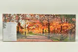 Woodland walk by Timmy Mallett, print, sold Feb 2023