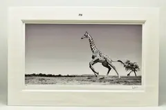 Dance by Anup Shah, print, sold Feb 2023