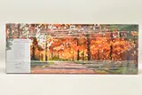 Woodland walk by Timmy Mallett, print, sold Feb 2023