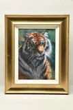 Tiger in the sun by Rolf Harris, print (other), sold Jan 2023
