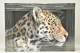 The wild side i by Darryn Eggleton, print, sold Jan 2023