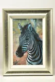 Young zebra by Rolf Harris, print, offered Dec 2022