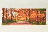 Woodland walk by Timmy Mallett, print, sold Dec 2022