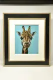 Giraffe by Valerie Simms, pastel on paper, sold Nov 2022