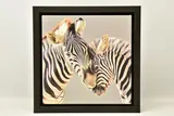 Tender touch by Darryn Eggleton, print, sold Nov 2022