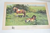 The Orphans by David Shepherd, print (other), sold Oct 2022