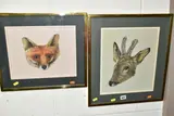 'IN VELVET - HEAD OF YOUNG ROE BUCK', a portrait study of a by Harry Spencer, watercolour on paper, sold Aug 2022
