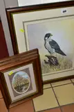 Peregrine falcon by John Straw, watercolour on paper, sold Aug 2022
