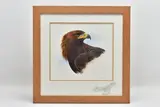 Golden eagle by Sue Warner, watercolour on paper, sold Jul 2022