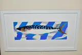 Single mackerel by Danka Napiorkowska, pencil, sold Jul 2022
