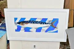 Single mackerel by Danka Napiorkowska, pencil, offered Jul 2022