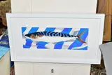 Single mackerel by Danka Napiorkowska, pencil, offered Jul 2022