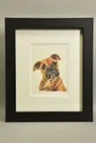 Boxer study sketch by Hayley Goodhead, pencil, sold Jul 2022