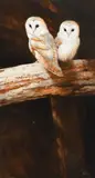 We've Got Our Eyes On You by Neil Cox, Acrylic on board, sold May 2022