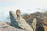 Untitled by Larry Norton, Oil on canvas, offered May 2022