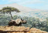 A black rhinoceros and two egrets in the savannah Signed and by Larry Norton, Oil on canvas, offered May 2022