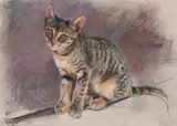 Study of a cat Signed NForster by Neil Forster, Pastel, sold May 2022