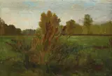 Étude des Roseaux by Auguste Anastasi, Oil on canvas, offered Mar 2022