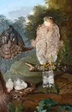 Untitled by William Broderick, Oil on canvas, sold Mar 2022