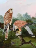 One with their pray Signed with initials by William Broderick, Oil on board, sold Mar 2022