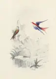 Lear by Edward Lear, Pencil and watercolour, heightened with gum arabic and gold paint, sold Mar 2022