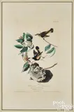 by Robert Havell by John James Audubon, hand-colored aquatint, sold Apr 2024