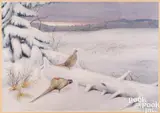 winter landscape with pheasants by J. Randolph Rowe, watercolor, sold Apr 2024