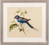 of a bird by Conrad Roland, watercolor, sold Feb 2024
